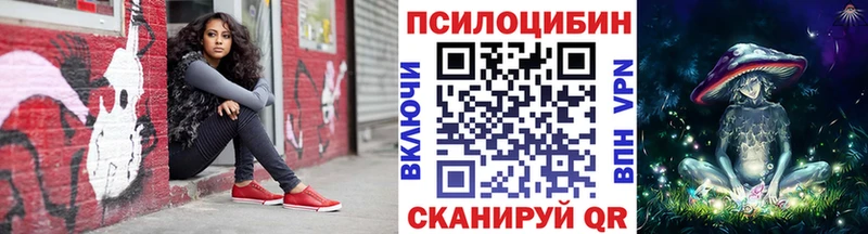 Псилоцибиновые грибы Psilocybe  Щучье 